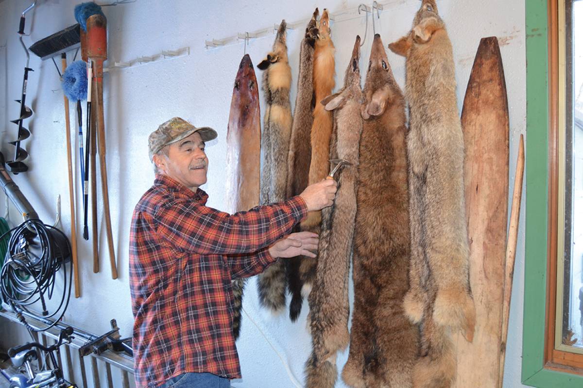 Predator hunters who take the time to properly put up their fur will reap the rewards in a larger fur check.